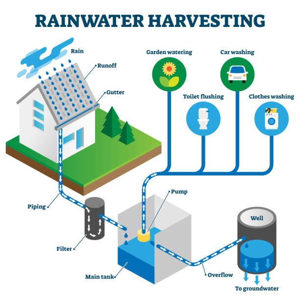 Rain Water Harvesting